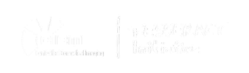 logo-TESSERACT